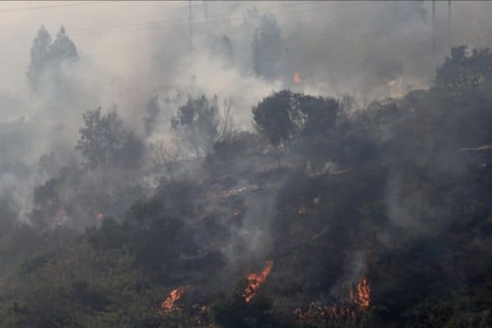 kebakaran_hutan_di_chile_meluas_51_orang_tewas