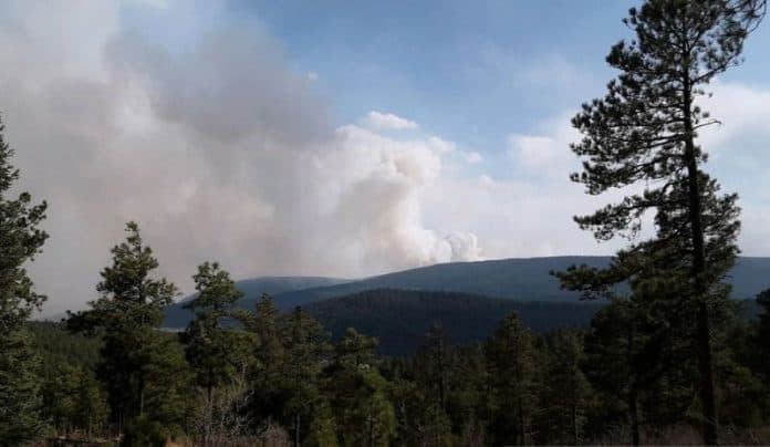 kebakaran_hutan_terbesar_landa_new_mexico_api_dekati_las_vegas