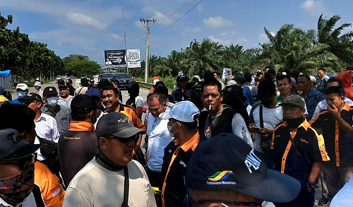 kebun_penara_tanjung_garbus_sejak_awal_diklaim_kebun_karet_ptpn_2