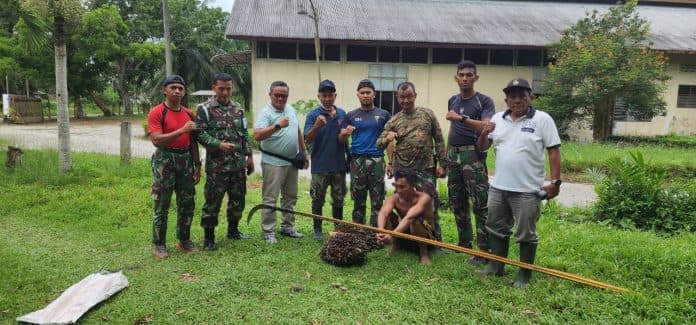 kebun_tanjung_garbus_ptpn_2_amankan_dua_pencuri_sawit