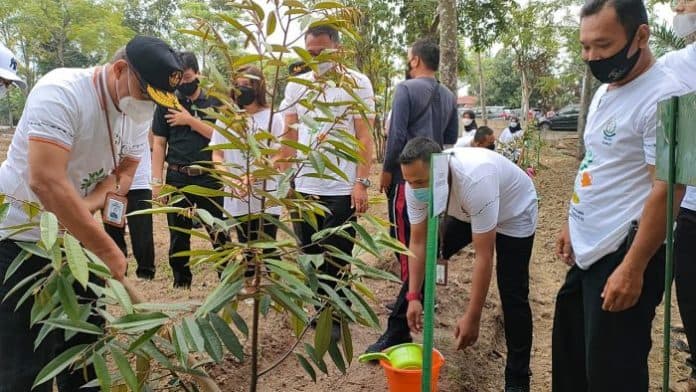 kejati_sumut_tanam_1000_pohon_sambut_hari_bhakti_adhyaksa_ke_61_tahun