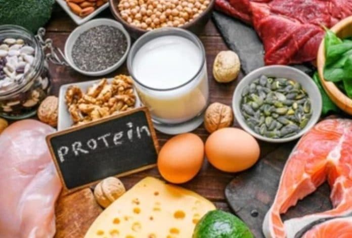 kelebihan_protein_berisiko_rusak_organ_vital