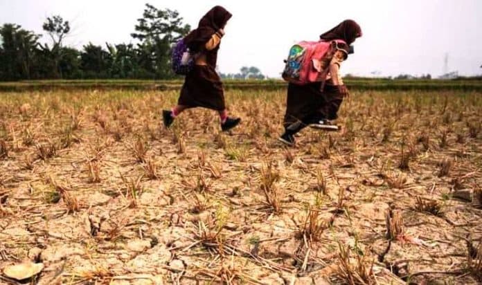 kemarau_berkepanjangan_kekurangan_air_bersih_dan_gagal_panen_akan_melanda_indonesia_akibat_fenomena_cuaca