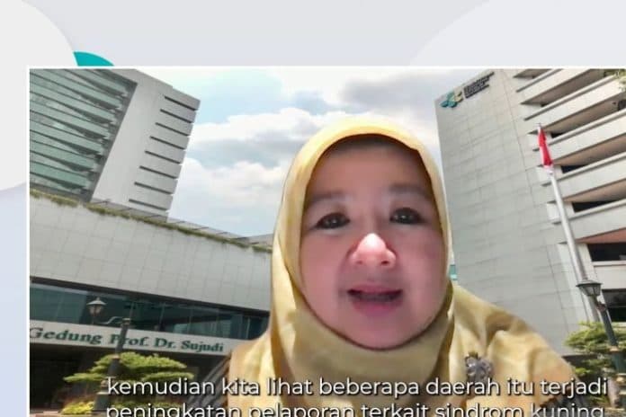 kemenkes_kasus_hepatitis_akut_terbanyak_berasal_dari_jakarta