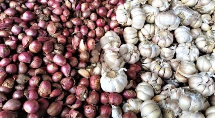 kemenko_marves_taiwan_kerja_sama_produksi_pemasaran_bawang_di_sumut