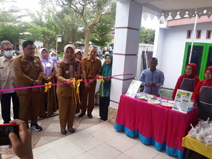 kepala_bkkbn_sergai_program_dashat_untuk_turunkan_stunting