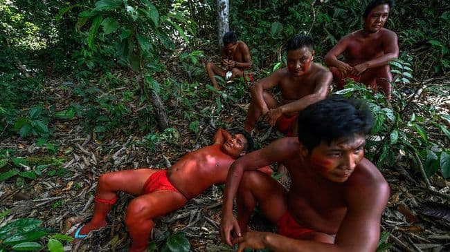 kepala_suku_meninggal_akibat_corona_puluhan_kelompok_di_pedalaman_brasil_tertular
