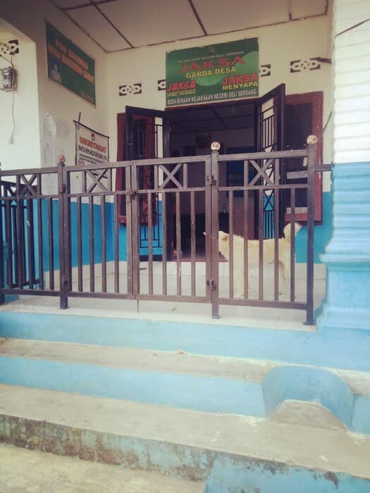 kerap_kosong_anjing_bebas_keluar_masuk_kantor_desa_marombun_barat