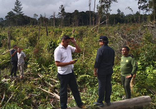 kerusakan_hutan_dairi_kritis_pemkab_polres_berkolaborasi_cegah_perambahan