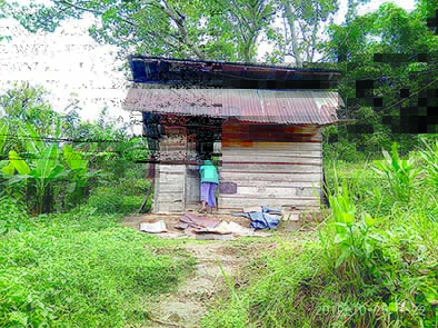 ketua_rt_ungkap_keseharian_pemilik_ganja_137_kg