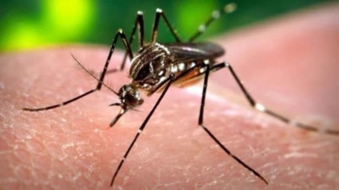 klb_malaria_di_nisel_dinkes_sumut_turunkan_tim