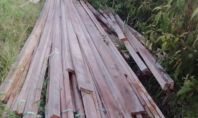 klhk_dan_aph_diminta_tindak_praktik_ilegal_loging_di_dolok_tolong_sumbul_dairi