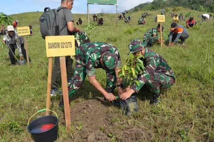 kodim_0212tapsel_gelar_penghijauan_penanaman_pohon
