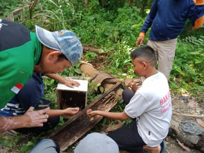 komunitas_petani_lebah_memetik_manisnya_madu_pada_alam
