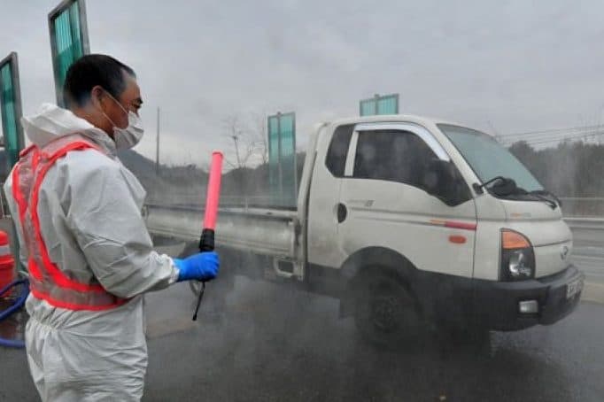 korea_selatan_laporkan_kasus_flu_burung_pertama_dalam_enam_bulan