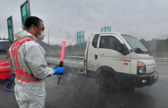 korea_selatan_laporkan_lagi_kasus_flu_burung