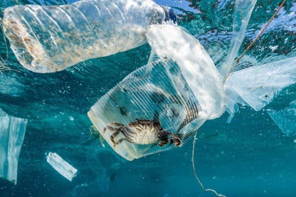 korsel_chinda_dan_jepang_sepakat_kurangi_polusi_plastik