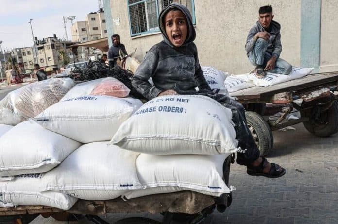 krisis_pendanaan_badan_pbb_untuk_pengungsi_palestina_terancam_bubar