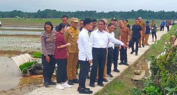 kunker_ke_langkat_wapres_beri_bantuan_alsintan_dan_benih_padi_ke_petani