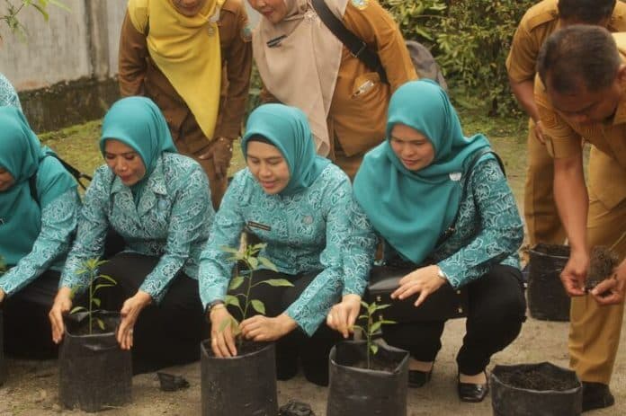 kunker_ke_sergai_pj_ketua_tp_pkk_sumut_serahkan_bibit_cabai