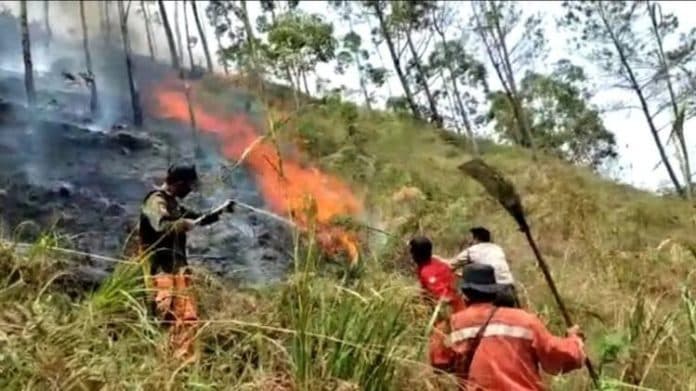 kurang_kesadaran_masyarakat_pemicu_sering_kebakaran_hutan_dan_lahan_di_danau_toba