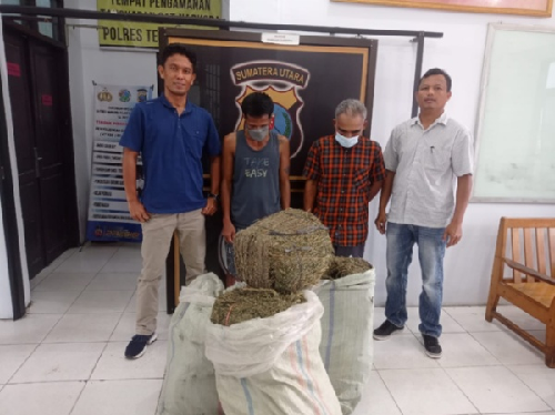 kurir_narkoba_dan_pemilik_3_karung_ganja_diringkus_polres_tebing_tinggi