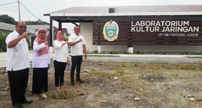 lab_kuljar_gedung_johor_siap_produksi_bibit_pisang_barangan_dan_tanaman_hias_secara_massal