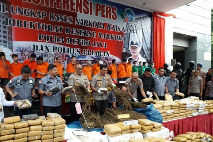 ladang_ganja_di_madina_berpotensi_hasilkan_60_ton_ganja