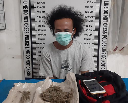 lagi_seorang_warga_simalungun_ditangkap_karena_miliki_ganja