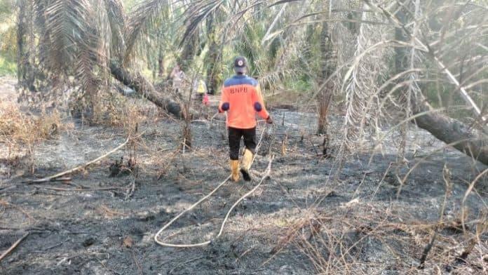 lahan_gambut_di_dua_lokasi_kabupaten_asahan_terbakar