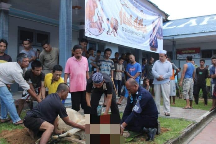 lapas_kelas_iib_padangsidimpuan_sembelih_hewan_kurban