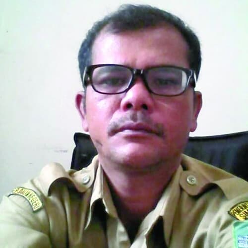 laporan_dinas_hanpang_simalungun_belum_ada_laporan_babi_mati_terserang_virus_cholera