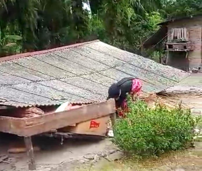 lapuk_dimakan_usia_rumah_janda_tua_roboh_di_sergai