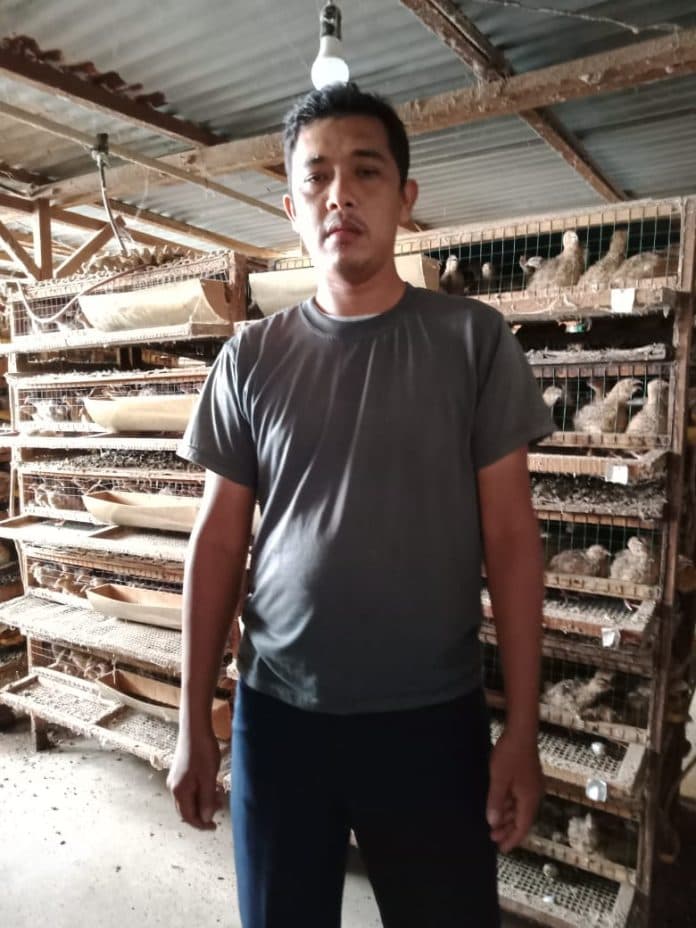 lelaki_ini_banting_setir_dari_karyawan_menjadi_peternak_burung_puyuh
