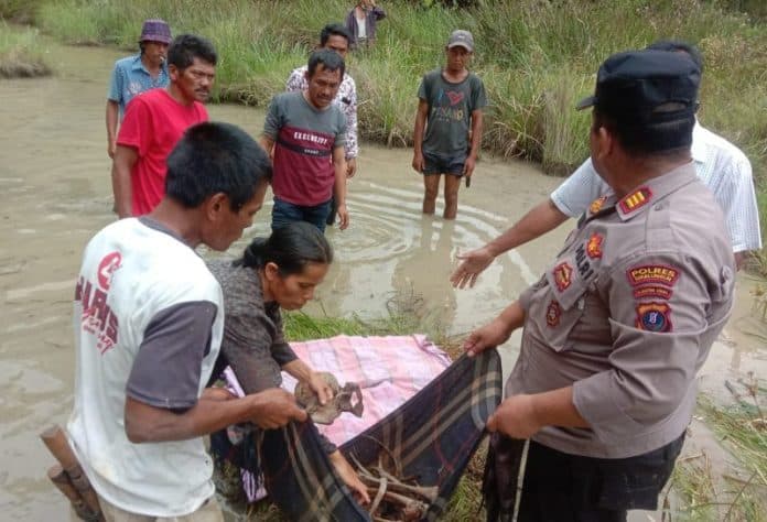 lewat_mimpi_anak_ibu_ditemukan_sudah_jadi_kerangka_dalam_kolam_di_raya
