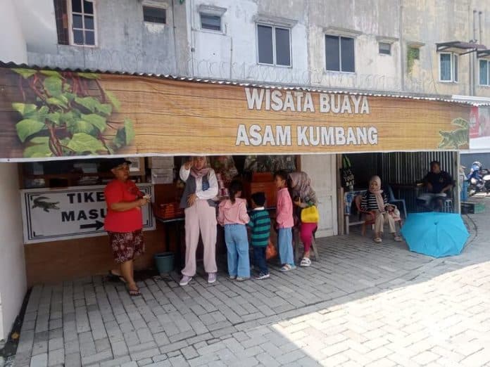 libur_sekolah_pengunjung_wisata_buaya_meningkat_museum_sepi