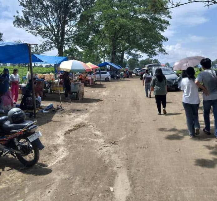 liburan_keluarga_perkebunan_teh_sidamanik_masih_menjadi_idola