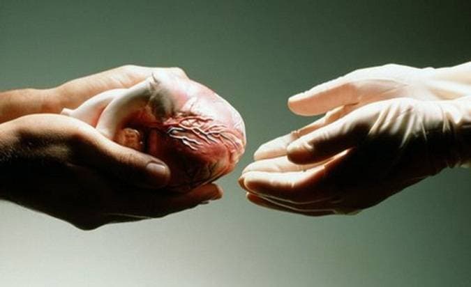 mabes_polri_benarkan_dugaan_jaringan_penjualan_organ_di_bekasi