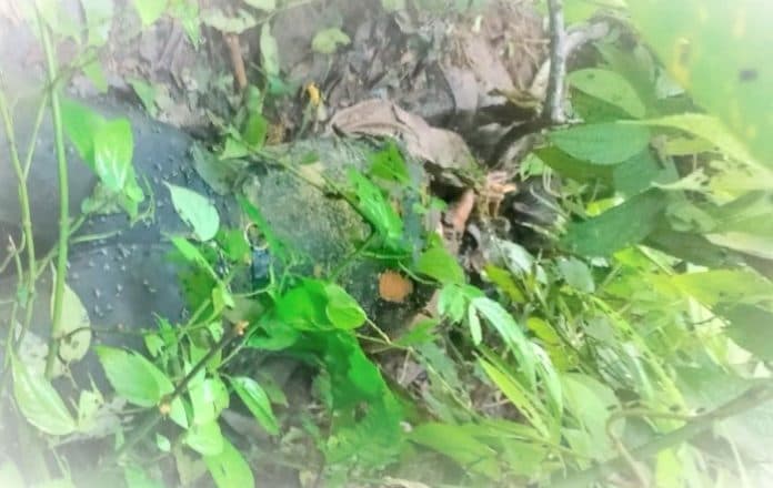 mahasiswi_usi_ditemukan_meninggal_dunia_keluarga_kepala_korban_dipukul_pakai_batu