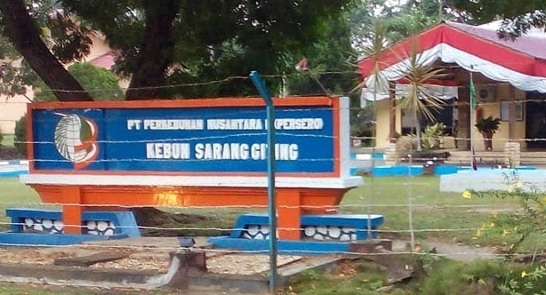 manager_ptpn_iii_sarang_giting_dinonaktifkan