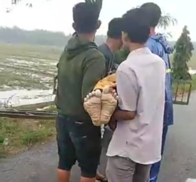mandi_mandi_di_bendungan_warga_tanjung_morawa_ditemukan_tewas