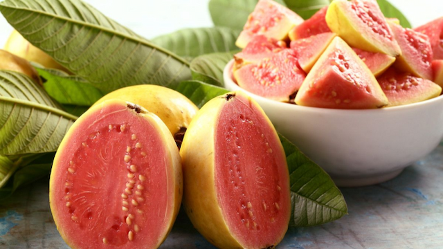 manfaat_jambu_biji_bisa_cegah_penyebaran_virus_korona