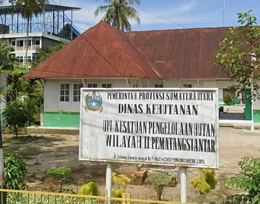 marak_kabar_penebangan_kayu_di_dolok_silau_kph_ii_siantar_bakal_kroscek_titik_koordinat