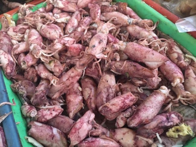 masak_cumi_asin_agar_tidak_alot_dan_enak_rasanya