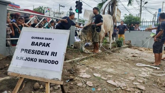 masjid_perjuangan_45_medan_sukses_sembelih_sapi_kurban_jokowi