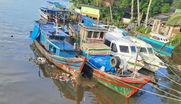 masyarakat_pandan_resah_orang_tak_bertanggungjawab_buang_bangkai_babi_ke_sungai
