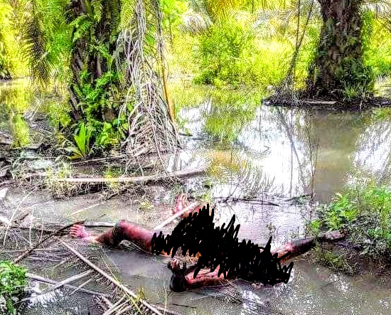 mayat_mr_x_ditemukan_tanpa_busana_dan_membusuk_di_kebun_sawit_talawi_batu_bara