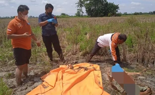 mayat_wanita_tak_dikenal_ditemukan_di_persawahan_kayu_besar_sergai