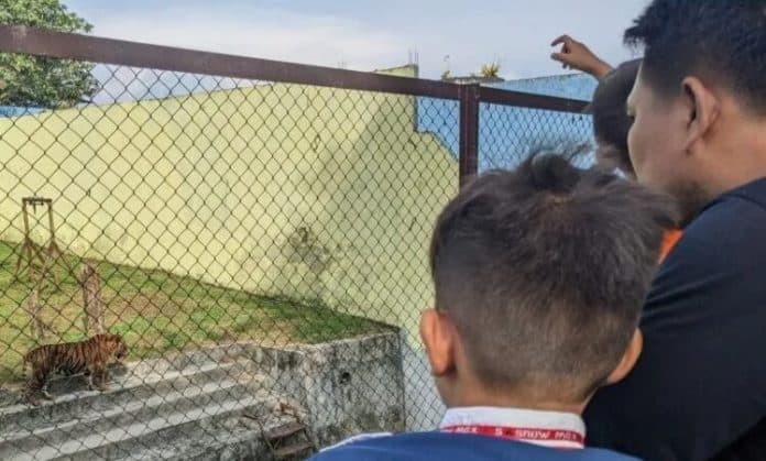 medan_zoo_antisipasi_membludaknya_pengunjung_di_hari_weekend