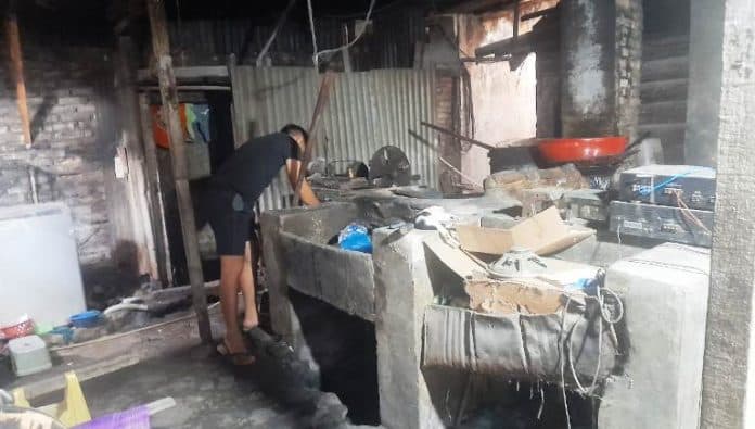 melirik_usaha_kuping_gajah_rambung_merah_simalungun_merambah_hingga_antar_provinsi